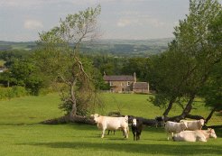 Self Catering to rent in Hexham, North East England, United Kingdom