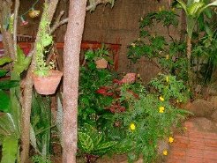 Bushveld Lodges to rent in Kep, Gulf Of Thailand, Cambodia