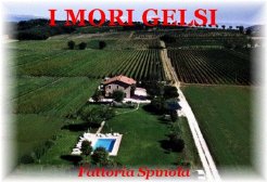 Holiday Farms to rent in Assisi, Umbria, Italy