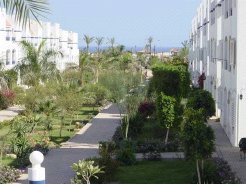 Apartments to rent in Sharm El sheikh, Naama bay, Egypt