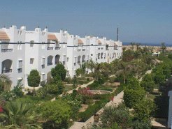 Location & Hbergement de Vacances - Appartements - Egypt - Naama bay - Sharm El sheikh