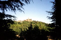 Holiday Villas to rent in tuscany, LIPPIANO, Italy