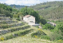 Bed and Breakfasts to rent in Viseu, Central Portugal, Portugal
