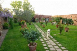 Villas to rent in Siena, Tuscany, Italy