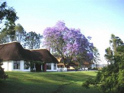 Location & Hbergement de Vacances - Fermes d'htes - South Africa - Drakensberg - Drakensberg