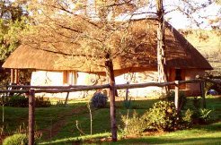 Guest Farms to rent in Drakensberg, Drakensberg, South Africa