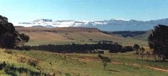 Guest Farms to rent in Drakensberg, Drakensberg, South Africa