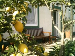 Self Catering to rent in Santa Margarida da Serra , Alentejo, Portugal