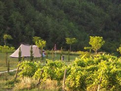 Campsites to rent in Montelparo, Le Marche, Italy