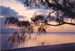 Bed and Breakfasts to rent in Port Douglas, Tropical North queensland, Australia