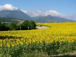 Country Houses to rent in Pergola, Le Marche, Italy