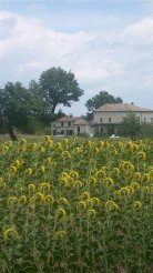 Country Houses to rent in Pergola, Le Marche, Italy