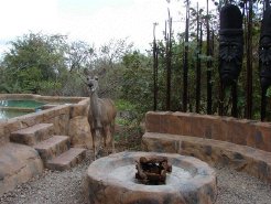 Bushveld Accommodation to rent in Marloth Park, Mpumalanga, South Africa