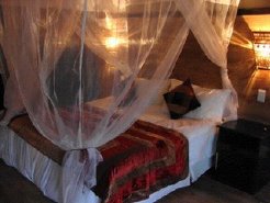 Bushveld Accommodation to rent in Marloth Park, Mpumalanga, South Africa