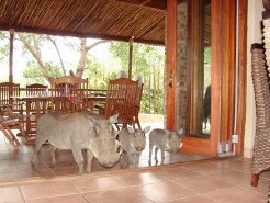 Bushveld Accommodation to rent in Marloth Park, Mpumalanga, South Africa