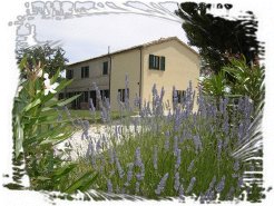 Holiday Houses to rent in Staffolo, Marches, Italy