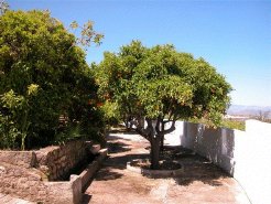 Bed and Breakfasts to rent in Alhaurin el Grande, Andalusia, Spain