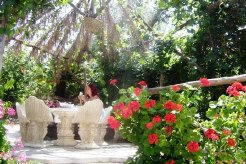 Bed and Breakfasts to rent in Naples / Sorrento, Campania / sorrento, Italy