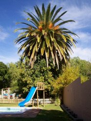 Self Catering to rent in Oudtshoorn, Klein Karoo, South Africa