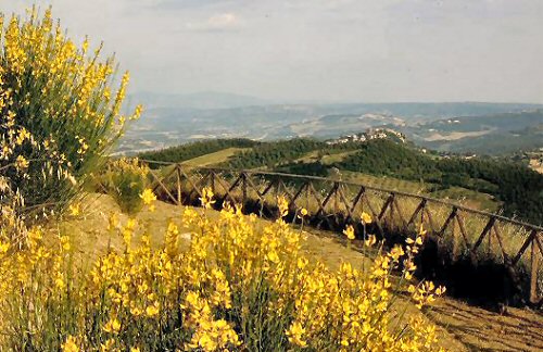 Verhurings & Vakansie Akkommodasie - Plattelandse Huise - Italy - UMBRIA (Italy) - Allerona