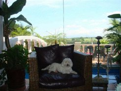Bed and Breakfasts to rent in San Jose, Central Valley, Costa Rica