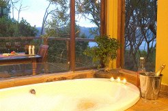 Guest Lodges to rent in Knysna, Garden Route, South Africa