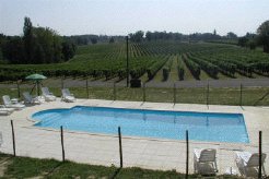 Vineyard Accommodation to rent in Gers, Gascony, South West France, France