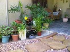 Bed and Breakfasts to rent in Johannesburg, Gauteng, South Africa