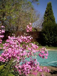 Self Catering to rent in Randburg, Johannesburg, South Africa