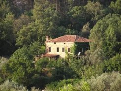 Location & Hébergement de Vacances - Maisons - Portugal - leiria - figueiro dos vinhos