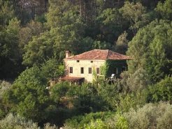 Verhurings & Vakansie Akkommodasie - Huise - Portugal - leiria - figueiro dos vinhos