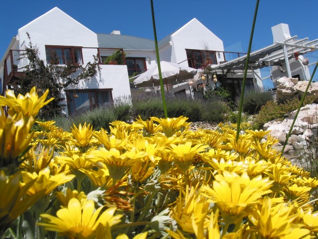 Location & Hbergement de Vacances - Pension de Famille - South Africa - West Coast - Paternoster