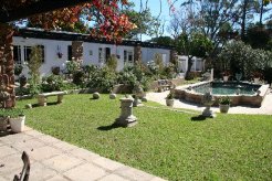 Guest Houses to rent in Port Elizabeth , Eastern Cape , South Africa