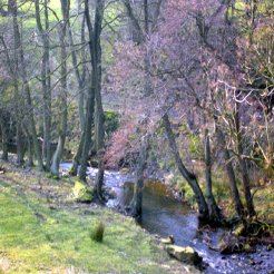 Farm Cottages to rent in Whitby, North York Moors, UK