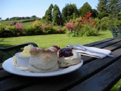 Bed and Breakfasts to rent in Nr Woolacombe, North Devon, United Kingdom