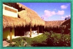 Location & Hbergement de Vacances - Chambres d'hte - Mexico - Cozumel  - Cozumel