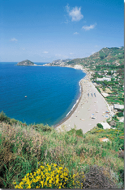 Verhurings & Vakansie Akkommodasie - Hotelle - Italy - ischia - ischia