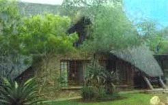 Location & Hbergement de Vacances - Maisons de Vacances - South Africa - Marloth Park - Marloth Park