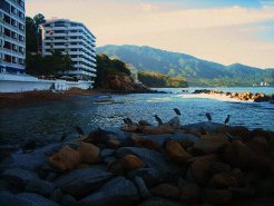 Holiday Apartments to rent in Puerto Vallarta, Puerto Vallarta, Mexico