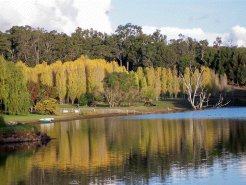 Farm Cottages to rent in Bridgetown, Western Australia, Australia