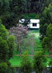 Farm Cottages to rent in Bridgetown, Australias South West, Australia