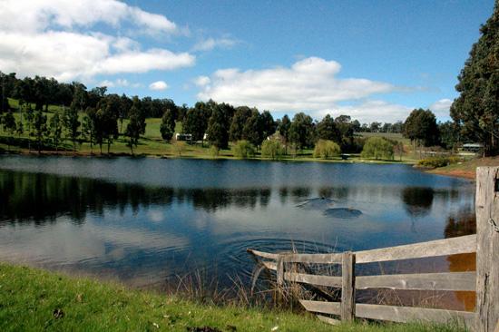 Location & Hbergement de Vacances - Gtes  la Ferme - Australia - Australias South West - Bridgetown