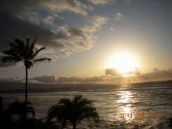 Beachfront Apartments to rent in Lahaina, Maui/Hawaii/South Pacific, United States