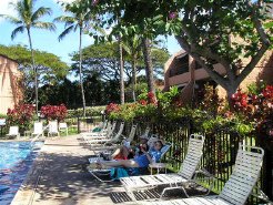 Beachfront Apartments to rent in Lahaina, Maui/Hawaii/South Pacific, United States