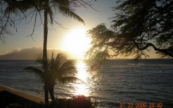 Beachfront Apartments to rent in Lahaina, Maui/Hawaii/South Pacific, United States