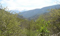 Holiday Villas to rent in Prades, Ria-Sirach, France
