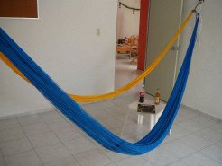 Holiday Houses to rent in Merida, Yucatan, Mexico