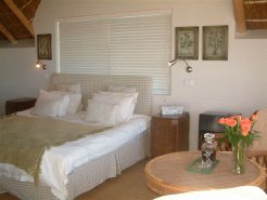 Bed and Breakfasts to rent in Cape St Francis, Eastern Cape, South Africa