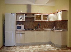 Holiday Rentals & Accommodation - Apartments - Russia - Russia/  Saint Petersburg - Saint Petersburg