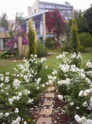 Self Catering to rent in Cape Town, Durbanville, South Africa